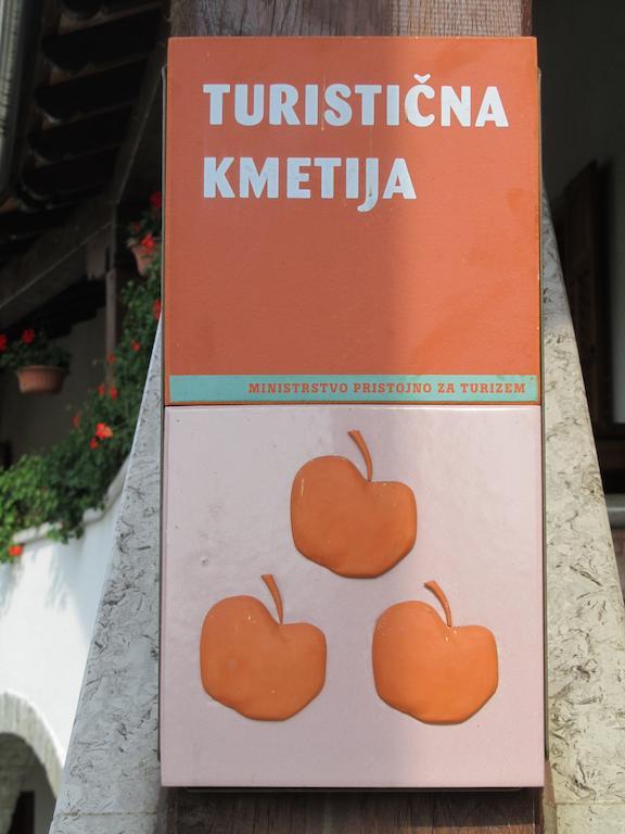 Willa Arkade Turizem Crnice Zewnętrze zdjęcie